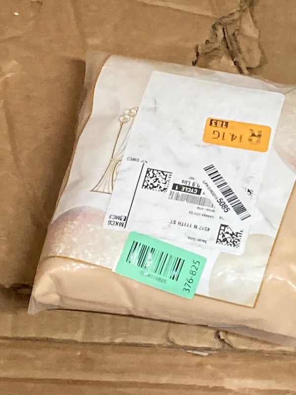 Photo 1 of 10x10ft Champagne Tulle Backdrop Curtain with Lights String for Parites, Sheer Backdrop Curtains for Wedding Baby Shower Birthday Party Photo Shoot Decorations