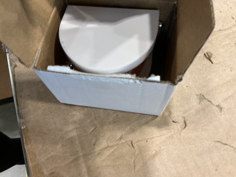 Photo 1 of 1 Pack Standard Teeth Model Adult Standard Typodont Demonstration Denture Model for Kids Dental Teaching, Clean Display, Education, Study (No Wisdom Teeth)(with 2 Fixed Wrench)