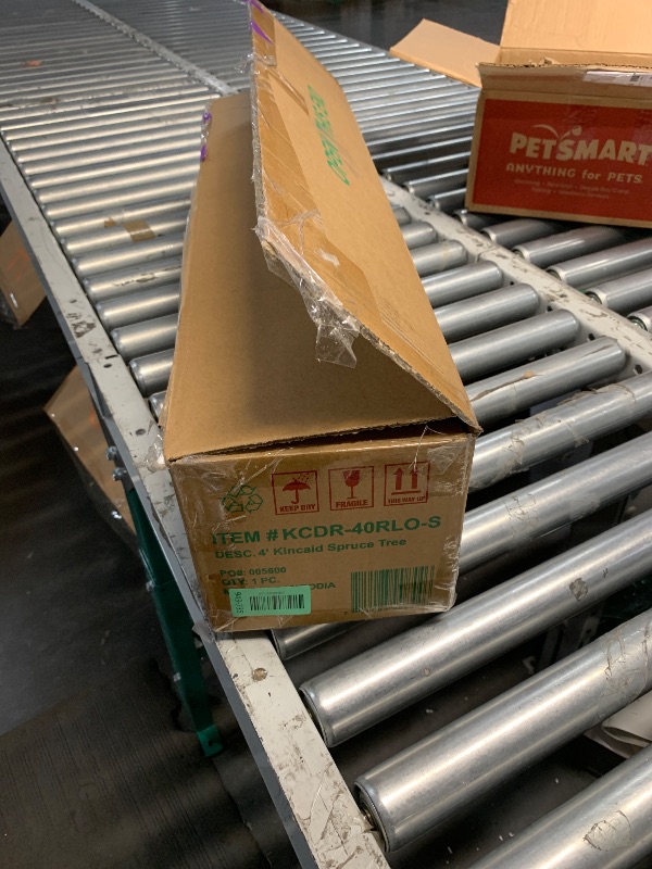 Photo 1 of National Tree Company Pre-Lit Artificial Medium Christmas Tree, Green, Kincaid Spruce, Multicolor Lights, Includes Stand, 4 Feet