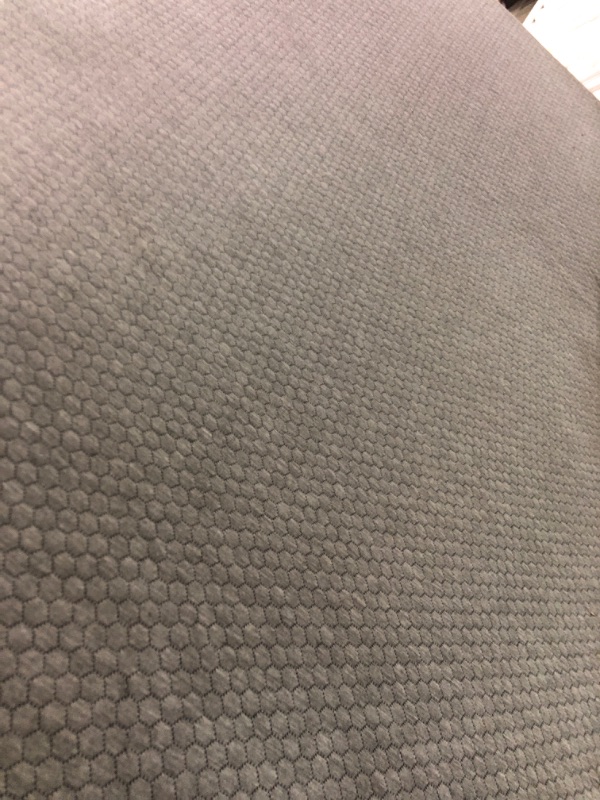 Photo 1 of ******DIRTY******
TEX STEDD GREY CUSHION