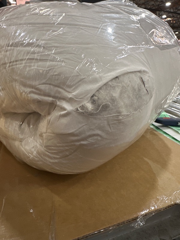 Photo 1 of ****pillow ripped******basic home Goose Feathers and Down Pillows, Cotton Cover, Bed Sleeping Hotel Collection Pillows,Queen Size 20x28