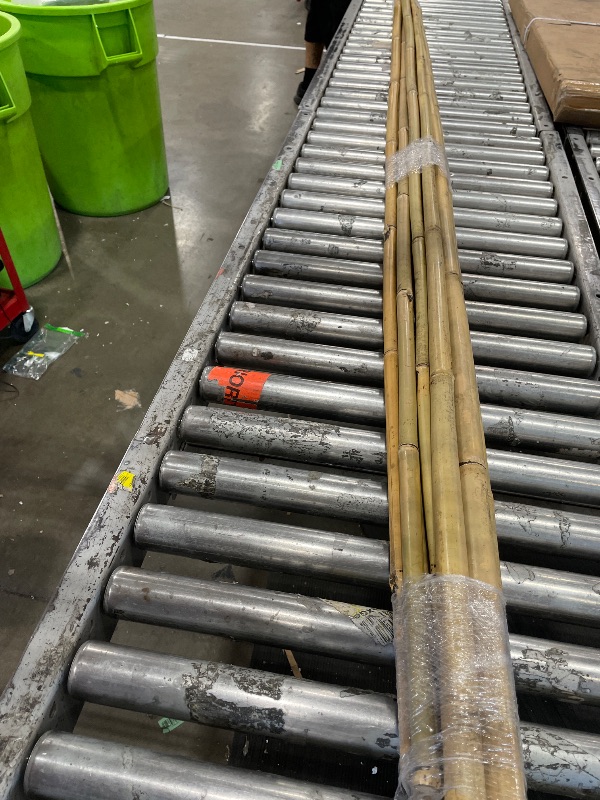 Photo 1 of 10 bamboo sticks