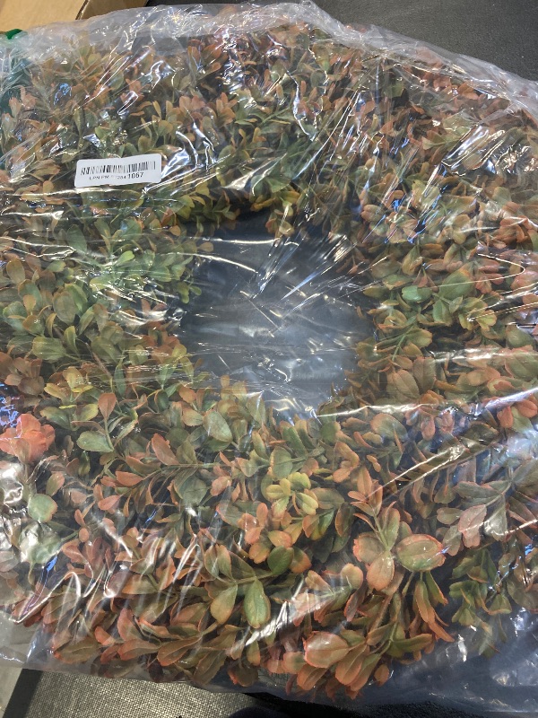 Photo 1 of 26'' Large Fall Wreath for Front Door, Porch, Window- Artificial Boxwood Leaves Outdoor Autumn Wreath for Home, Farmhouse Wall Thanksgiving Day Harvest Festival Décor