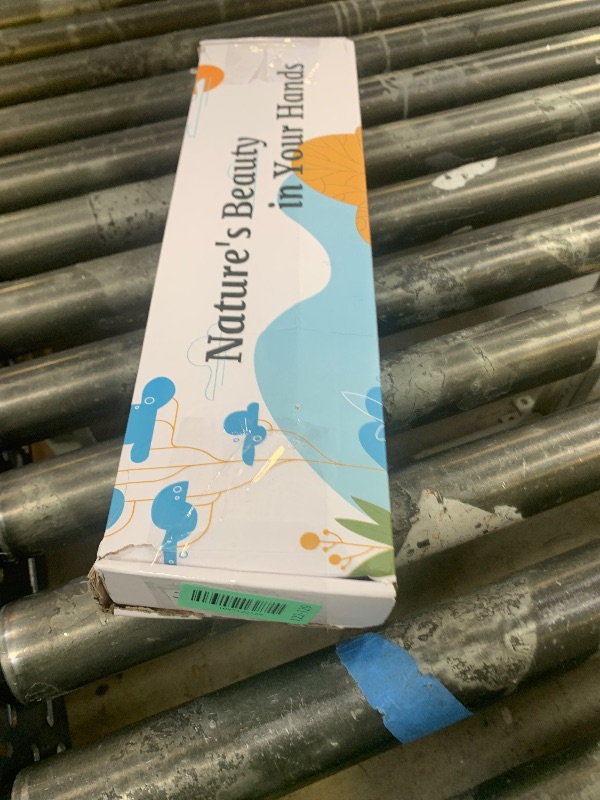 Photo 1 of 10 Pieces Dried White Italian Ruscus Eucalyptus - Real Preserved Ruscus Stem Branches, Real White Dried Floral Plant Pampas Green Leaves Bundle for Boho Wedding Party, Home Decor, Vase Filler