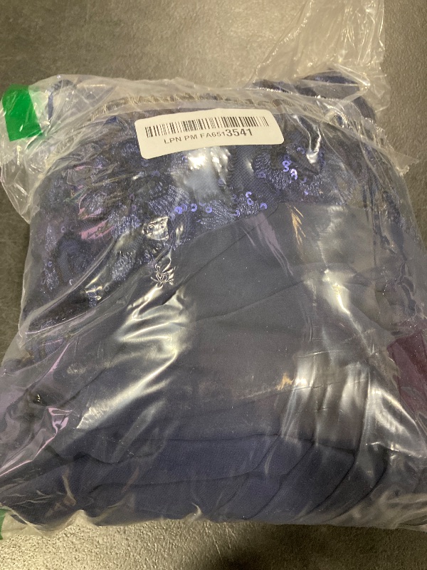 Photo 1 of Alex Evenings Women's Size Long Lace Top Empire Waist Dress, Navy Plus, 22W