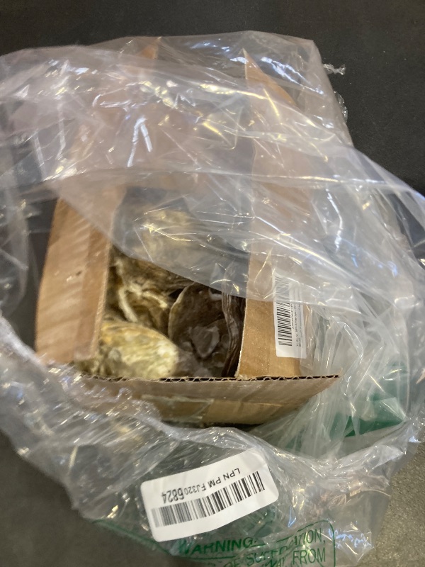 Photo 1 of 30 PCS Flat Oyster Shells 4-5” Natural Bulk Concave Oyster Shells for Crafts Home Vase Filler DIY Painting Theme Party Coastal Shell Art Supplies