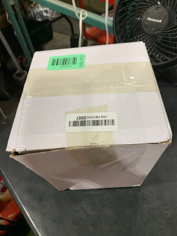 Photo 1 of Safari Animal Headbands with Ears, Horns, and Hoops - Jungle Theme Birthday Photo Props for Kids and Adults