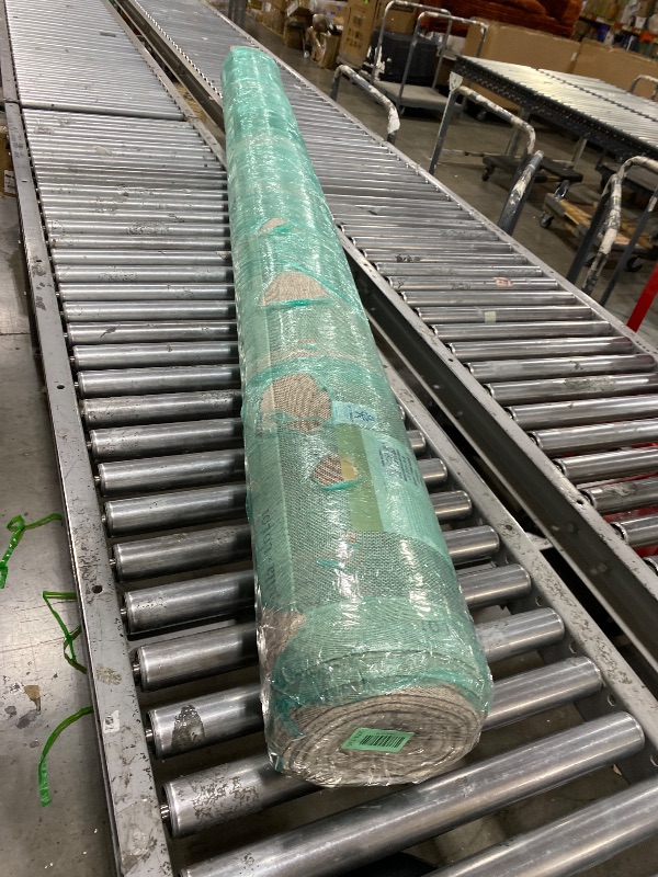 Photo 1 of Loloi Chris Loves Julia Chris Collection CHR-02 Natural/Sage 8'-6'' x 11'-6'', .50" Pile Height, Area Rug