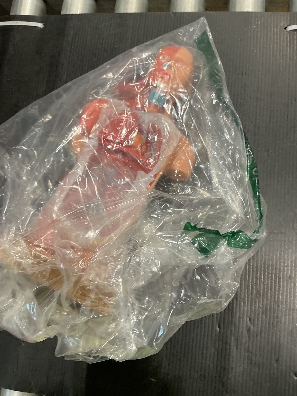 Photo 1 of **no ensamble book**EVOTECH SCIENTIFIC 2025 New Human Body Model for Kids, 15 Pcs Removable 11 inch Human Torso Anatomy Model with Heart Head Skull Brain Skeleton Model, Age 6+, School Medical Education Display