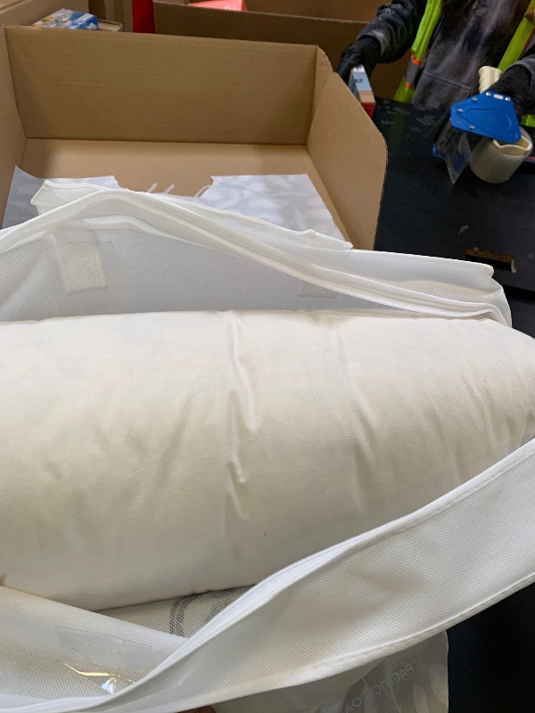 Photo 1 of Pacific Coast Down Pillow, Luxury Hotel Collection Bed Pillow for Sleeping with Organic Cotton Shell, Suit for Back and Stomach Sleepers, Queen Size