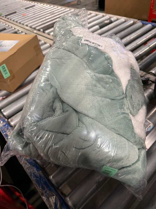 Photo 1 of **PARTIAL SET/check clerk comments**
Electric Heated Blanket Twin Size 62"x84", Soft Flannel with Overheat Protection, 6 Adjustable Heat Settings & 10-Hour Auto-Off Timer, Fast Heating for Winter Comfort, Light Green