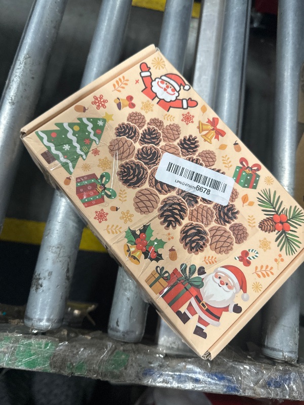 Photo 1 of 200 PCS Christmas Natural Pine Cones Mini Pine Cones Thanksgiving Pine Cones Bulk Christmas Pinecones Ornaments for Home Decoration DIY Crafts Wedding Christmas Tree Fall Winter Decor, White