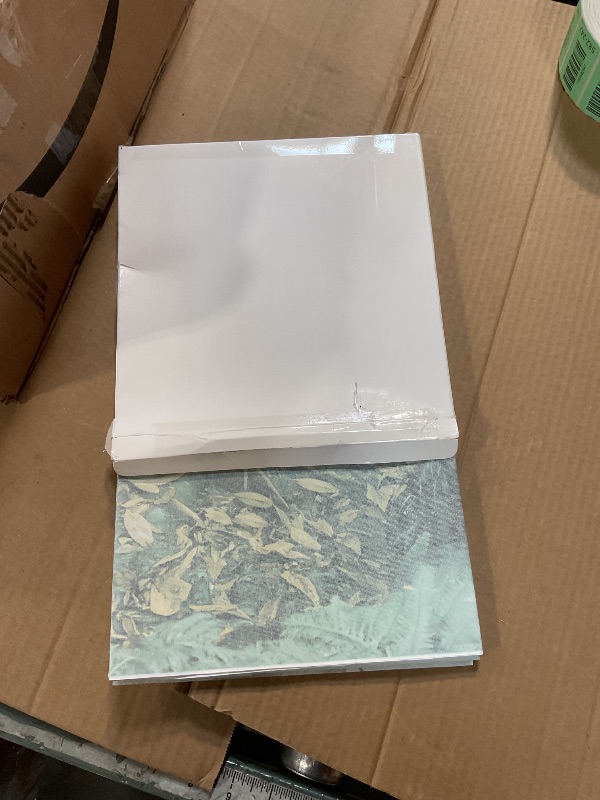 Photo 1 of COMSUN 3 Pack Terrarium Background, 36x18 inches Polyester Reptile Background, Cloth Terrarium Background, Tropical Green Tree Fern & Gobi Desert Sunshine Cactus Rock Terrarium Background