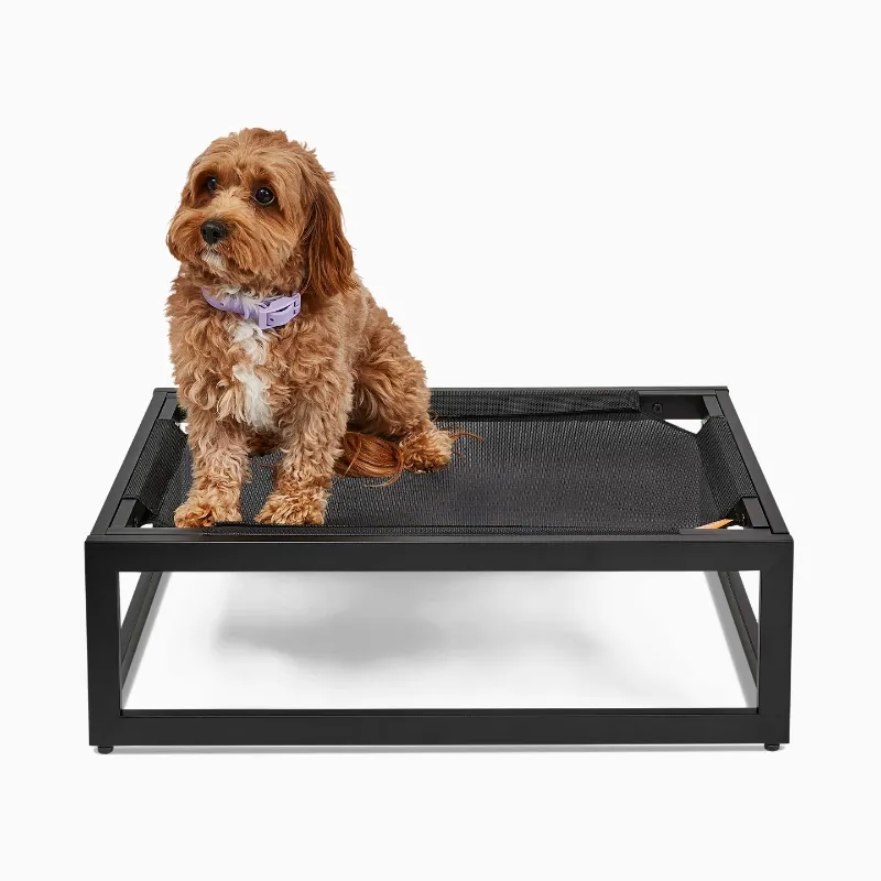 Photo 1 of **FOR PARTS ONLY/ MISSING ASSEMBLY PIECES** The Up Pup Cot Black Metal Large 35.6x28.5x18"