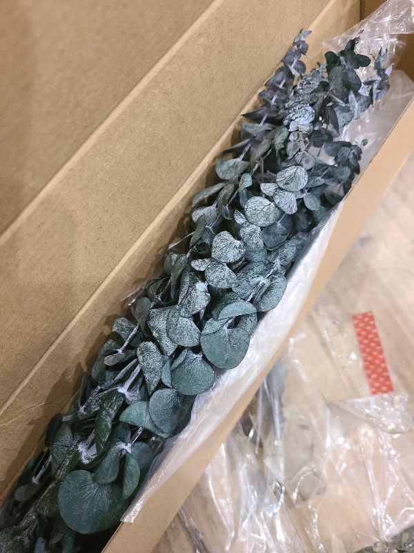 Photo 1 of 10 PCS Dried Eucalyptus Stems for Shower 17" Real Leaves Branches for Vase Filler, Home Bathroom Wedding Arrangement Decor, 100% Natural Fresh Greenery Hanging Preserved Eucalyptus Plant