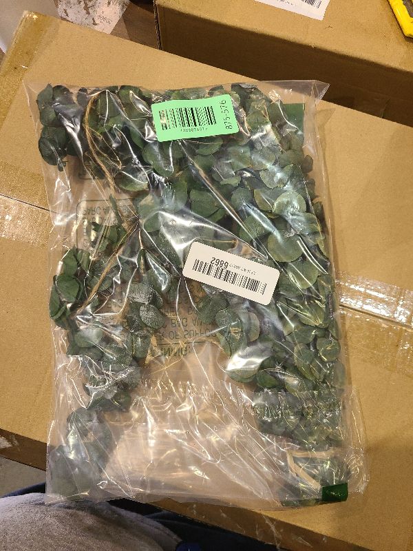 Photo 1 of 10 Pcs Dried Eucalyptus Stems 17" Real Eucalyptus for Shower Hanging 100% Made from Fresh Leaves, Wedding, Home, Farmhouse, DIY Spring Decor Bathroom Decor Home Decor