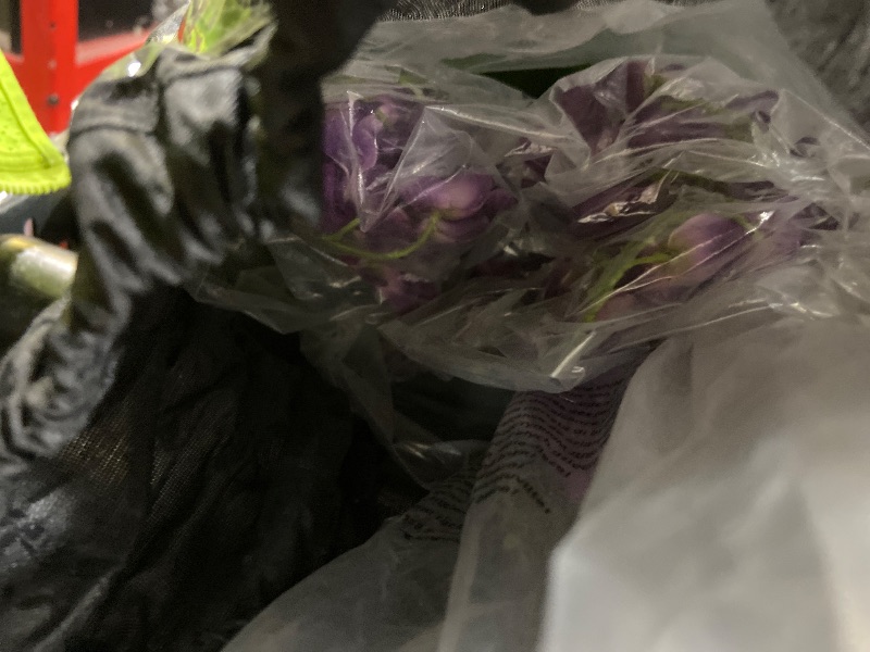 Photo 1 of Aveyas 5ft Artificial Canna Violet Tree with Flowers for Home Decor, 5 Feet Faux Tropical Plant Fake Silk Trees with Pot for Indoor Outdoor House Porch Living Room Office (5 ft Tall)