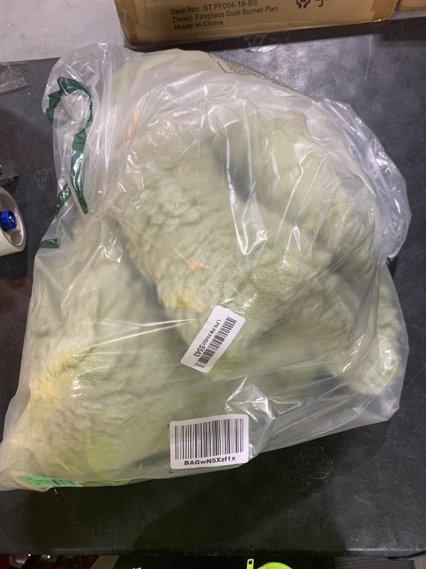 Photo 1 of PELZIN Stoutwool Indestructible Dog Bed - Fluffy Chew Proof Dog Crate Pad - Tough Kennel Pad for Aggressive Chewers - Washable, Ideal for Large Breeds & Fits 42-Inch Crate - 41"x27", Gleam