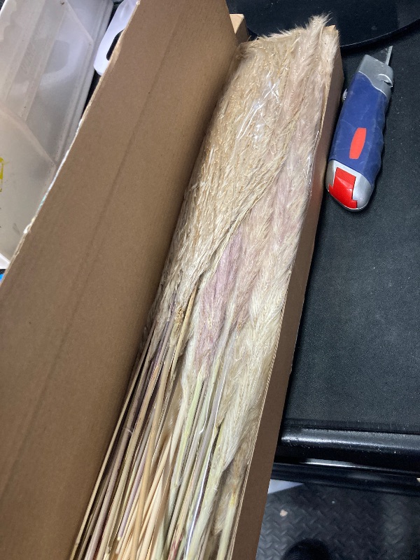 Photo 1 of 110 PCS Dried Pampas Grass Bouquet, Boho Table Decor, Bunny Tails Dried Flowers, Brown Pompas, White Pampas Grass for Wedding, Home, Rustic Party, Baby Shower Decorations