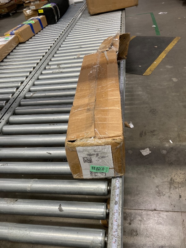 Photo 1 of ***used***Red Delicious Apple Tree, Deciduous, Fruit Bearing, Fast Growing, 1 gal Nursery Pot, 2-3 ft. Tree Height (Due to Agricultural Laws, we Cannot Ship to CA, AZ, AK, or HI)