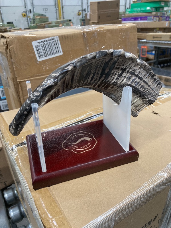Photo 1 of **with scratches***KOSHER ODORLESS NATURAL SHOFAR Genuine Rams Horn Made in Israel Clean and Odorless Includes Exquisite Stand and Carrying Bag Smooth Mouthpiece by Shofar Zion 13"-14"