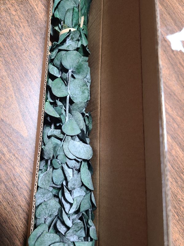 Photo 1 of 10Pcs Dried Eucalyptus for Shower Hanging-17''Preserved Real Fresh for Green Home Decor,100%Made from Fresh Eucalyptus Leaves Plant,Bathroom Shower Decor,Wedding Decor