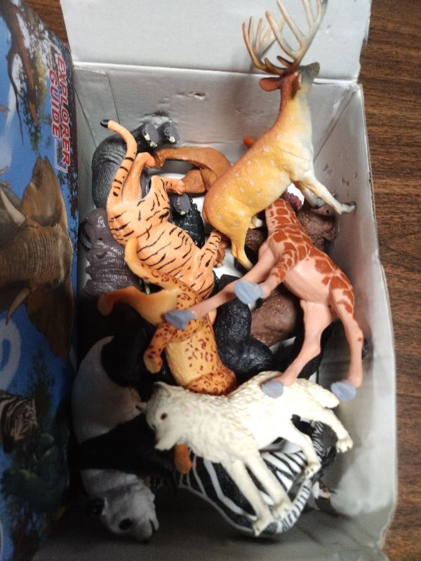 Photo 1 of 13 Pack Wild Animal Toys with Educational Booklet and Gift Box, Realistic Safari Animals Figures for Kids, Plastic Zoo Animals Figurines for Toddler Ages 1-3, Jungle Birthday Party Favor for Boy Girl