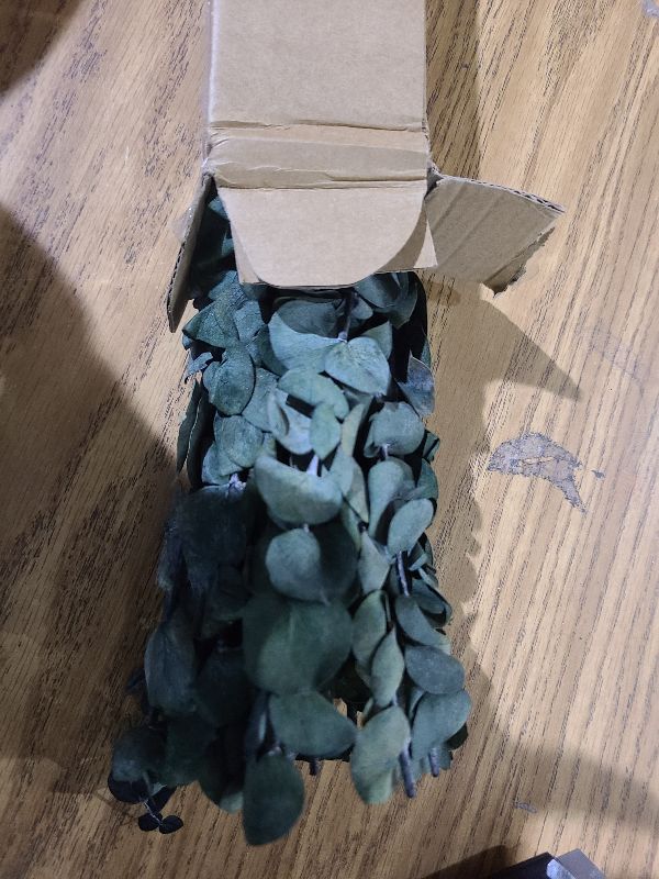 Photo 1 of 20Pcs Dried Eucalyptus for Shower Hanging-17''Preserved Real Fresh Eucalyptus Stems for Green Home Decor,100%Made from Fresh Eucalyptu Leaves Plant,Bathroom Shower Decor,Wedding Decor