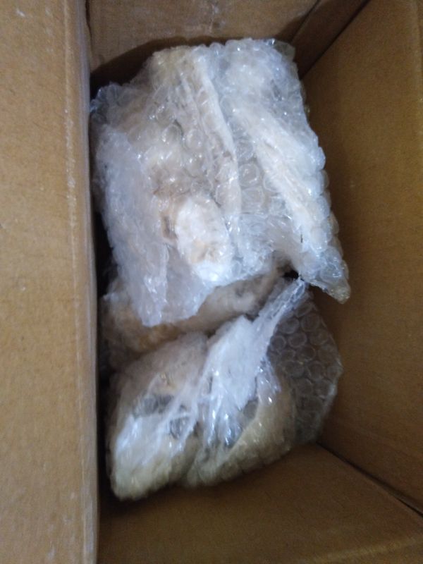 Photo 1 of 16PCS Large Oyster Shells 4”-5” for Crafts, Natural Concave Sea Shells Bulk/DIY Home Decor, Vase Filler, Jewelry Making, Candle Making, Xmas Ornaments, Beach Wedding, Coastal Decor