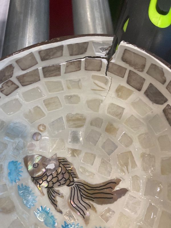 Photo 1 of ***MINOR DAMAGE*** WIizyzfhy Handcrafted Natural Coconut Bowl with Mother of Pearl Inlay Versatile Decorative Storage for Snacks Candy container Nut rack Fruit (Goldfish pattern)