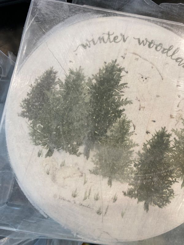 Photo 1 of ***MINOR DAMAGE*** Thirstystone Winter Woodlands 4 Pack Round Absorbent Stone Coasters with Protective Cork Backing Manufactured in The USA Artistic Absorbent Easily Wipes Clean