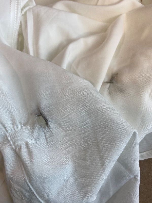 Photo 1 of ***READ CLERK NOTES*** LYANER Women's Collar V Neck Button Front Long Sleeve Slit Hem Long Shirt Blouse Tops White Large