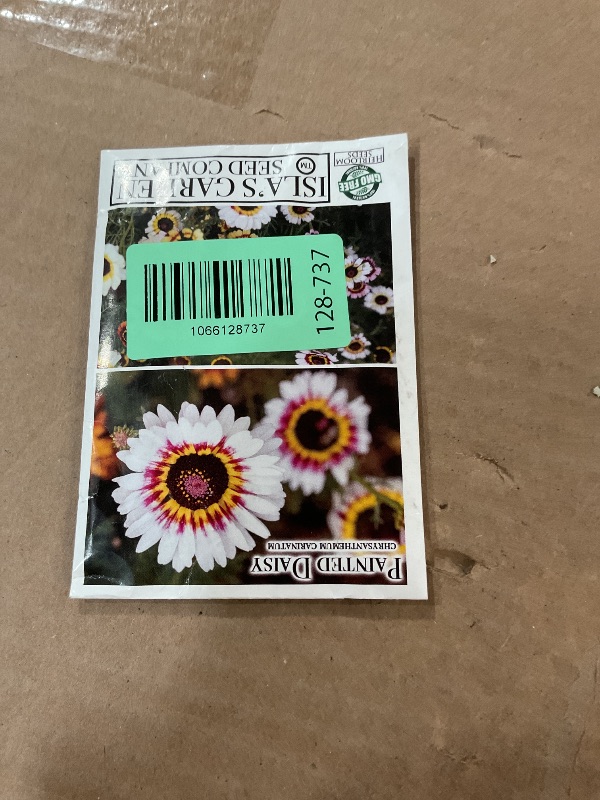 Photo 1 of "Painted Daisy" Flower Seeds