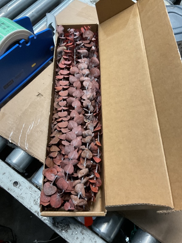 Photo 1 of (20Pcs) Dried Eucalyptus Stems - Red, Fall Decorations for Home, Real Long Eucalyptus, Dried Flowers for Vase, 17" Floral Arrangement, Wedding (Orange)