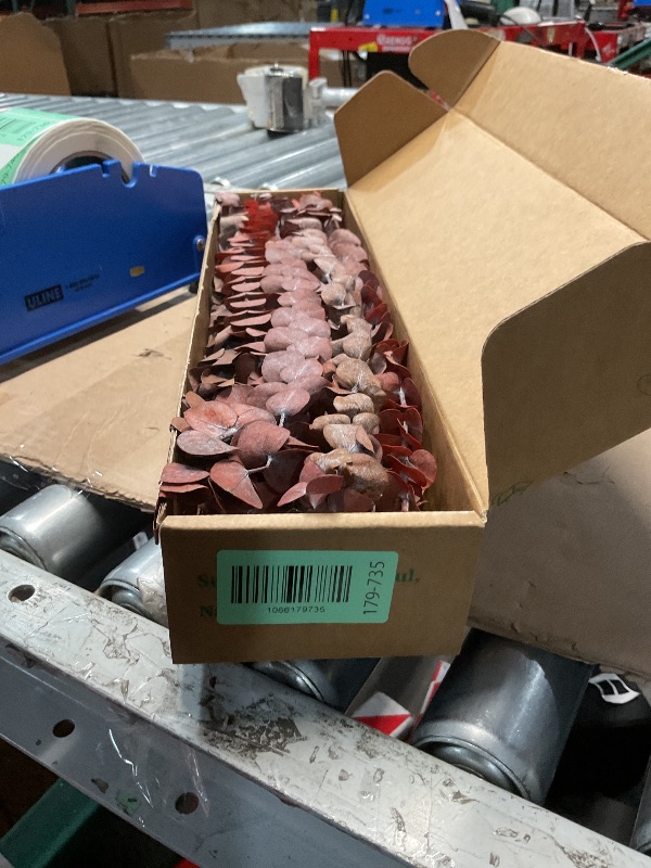 Photo 1 of (20Pcs) Dried Eucalyptus Stems - Red, Fall Decorations for Home, Real Long Eucalyptus, Dried Flowers for Vase, 17" Floral Arrangement, Wedding (Orange)