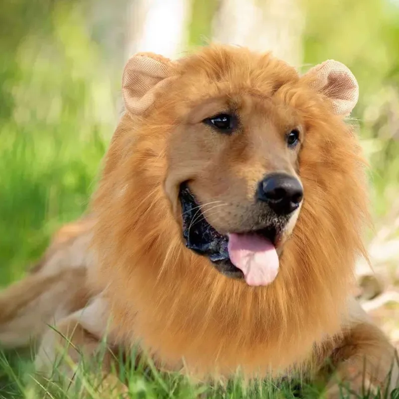 Photo 1 of
Funny Cute Lion Mane Costume Headgear for Cat Dog Pet Clothes Dress Party USA