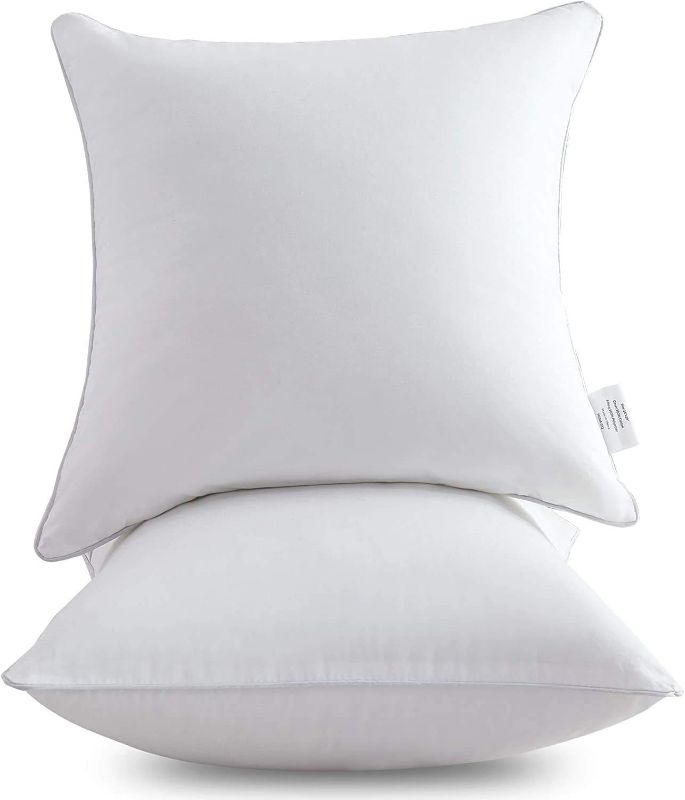 Photo 1 of (missing one) Leeden 20 x 20 Pillow Inserts (Set of 2) - Throw Pillow Inserts