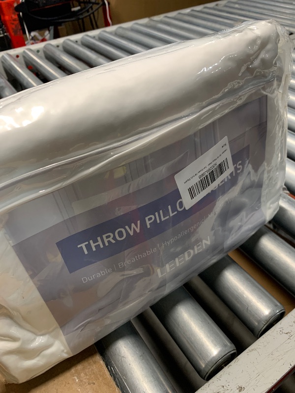 Photo 1 of (missing one) Leeden 20 x 20 Pillow Inserts (Set of 2) - Throw Pillow Inserts