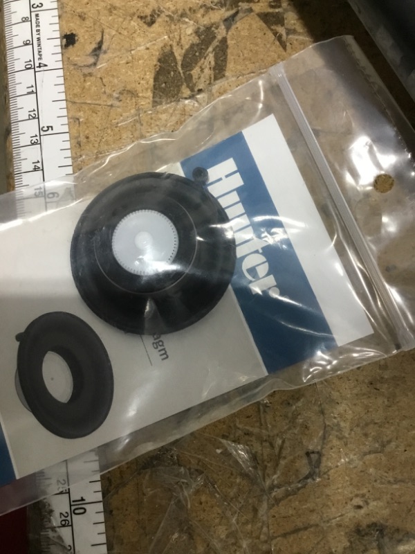 Photo 1 of 1 in. PGV Diaphragm