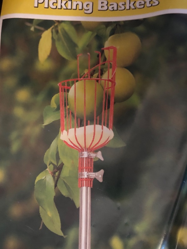 Photo 1 of  2PK PICKING BASKETS