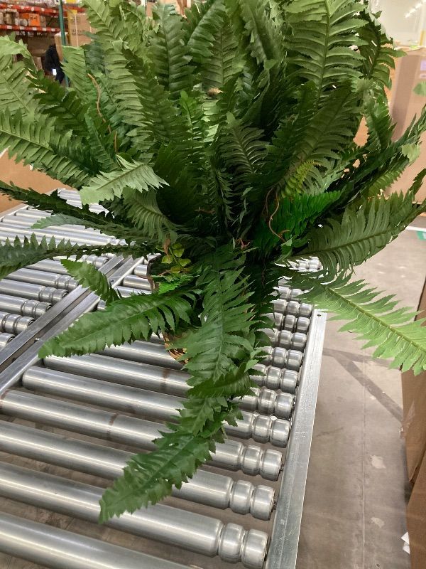 Photo 1 of 10 Bunches Simulation Fern Grass Fake Floral Green Leaves Persian Leaves Artificial Persian Grass