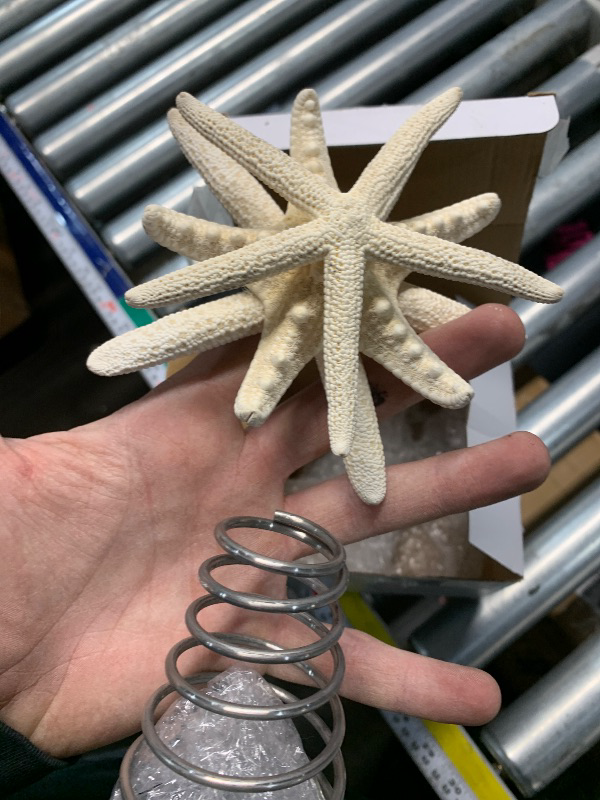 Photo 1 of ***DAMAGED*** Demissle Natural Starfish Tree Topper Beach Christmas Tree Topper 6 Inch Starfish Treetop Decoration Coastal Christmas Holiday Decoration for Sea Beach Themed Xmas Home Decor