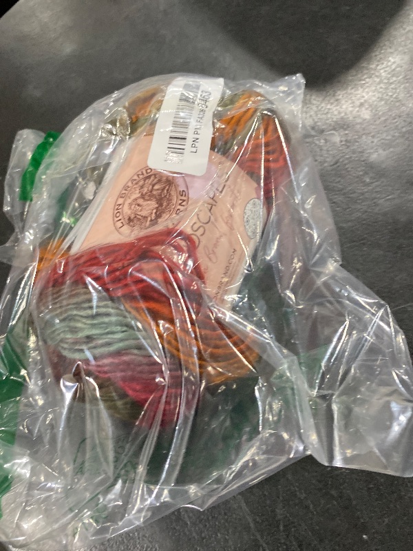 Photo 1 of (1 Skein) Lion Brand Yarn Landscapes Yarn, Desert Spring