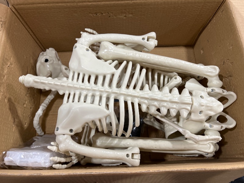 Photo 1 of 36'' Human & Cat Skeletons Halloween Decorations Outdoor/Indoor - Realistic Full Body Movable Glowing Posable Skeleton Decor with Copper Wire Lights for Haunted, Graveyard, Yard & Porch Decoration