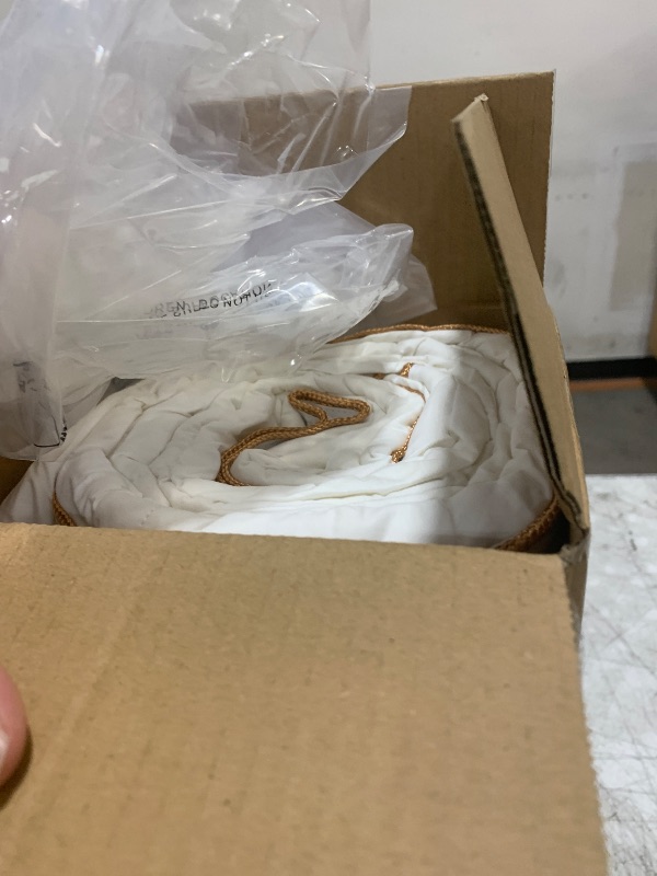 Photo 1 of 100% Cotton down comforter full size 