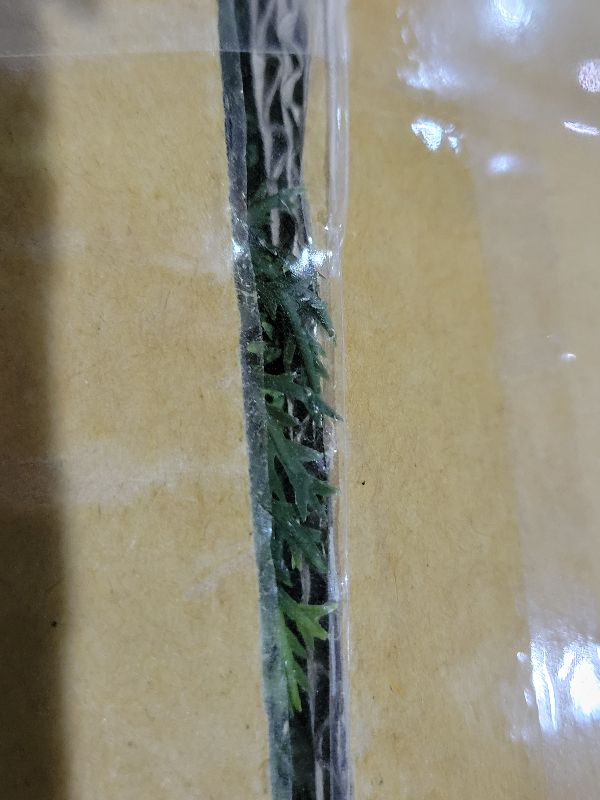 Photo 1 of 2.3 FT Artificial Cedar Topiary Tree Outdoor, Realistic Fake Cypress Tree with Pot, UV Resistant Faux Greenery Shrubs Bushes Plants for Front Door Porch Office Home Indoor Spring Decor