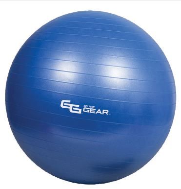 Photo 1 of 
Go Time Gear Exercise Ball with Pump