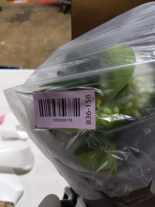 Photo 1 of 2 Pack 13Ft Artificial Spring Eucalyptus Flower Garland with White Roses, Fake Flower Greenery Floral Green Garland Vines for Wedding Arch Table Runner Backdrop Mantle Home Decorations (White)