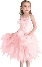 Photo 1 of *** SIZE UNKOWN*** DYMCII Baby Girls Feather Swan Princess Dance Dress Prima Ballerina Costume Pageant Party Prom Birthday Short Tiered Gown  