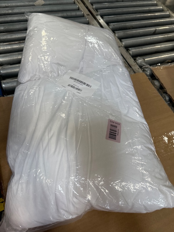Photo 1 of *****CORRECT ITEM****EDOW Throw Pillow Inserts, Set of 2 Lightweight Down Alternative Polyester Pillow, Couch Cushion, Sham Stuffer, Machine Washable. (White, 18x18)